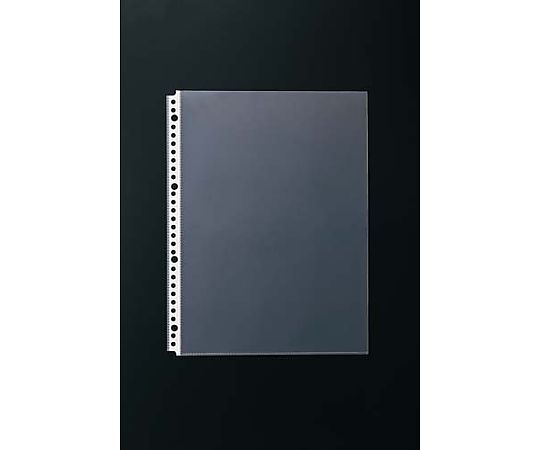 클리어 북 리필 30홀 후구 20장 4248-9146 1팩(20장입)