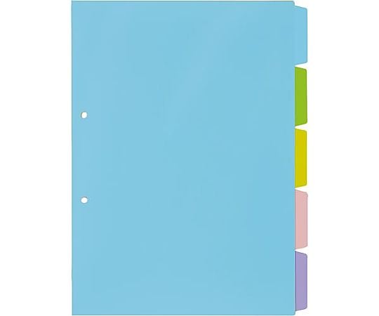 PP제 컬러 칸막이 카드 A4 세로 2홀 5산 4269-5318 1조