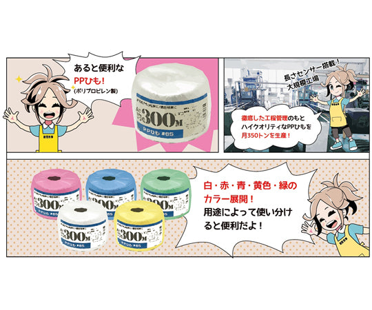 PP玉巻ひも 300m 白 00720011 1巻
