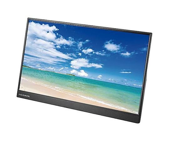 15.6型フルHD対応モバイルディスプレイ EX-LDC161DBM 1台