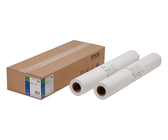 Plain paper roll <thin> 594mm x 50m 2 rolls EPPP64A1 1 box (2 rolls)