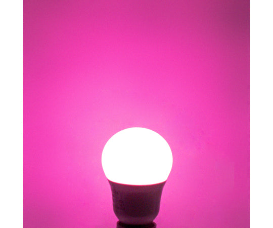 クリプトン40W代替LED 桃色 HD0417PD2 1個