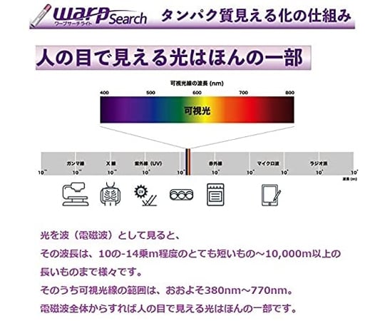 タンパク質可視化ライト WARP Search 1個