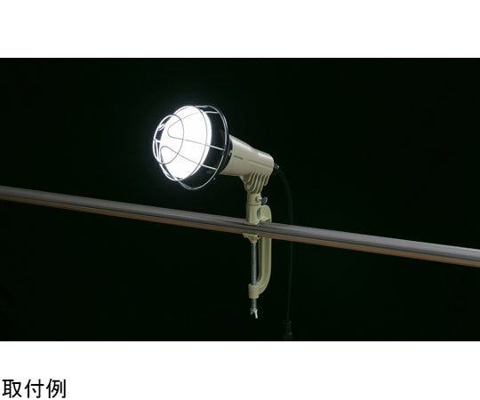 LED floodlight 2000lm LWTL-2000CK 1 piece