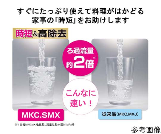 Torayvino Cassetti Series Replacement Cartridge for Faucet-Mounted Water Purifiers, Pack of 2, MKCSMX2, 1 Set (Pack of 2)