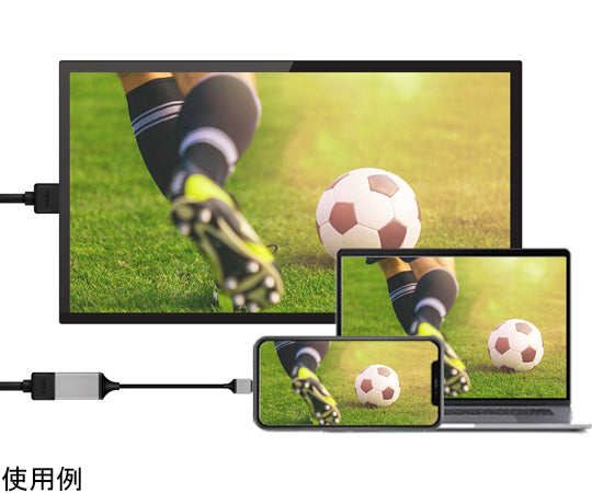 INOVA USB Type-C to HDMI conversion cable 3R-CMH02BK 1 piece