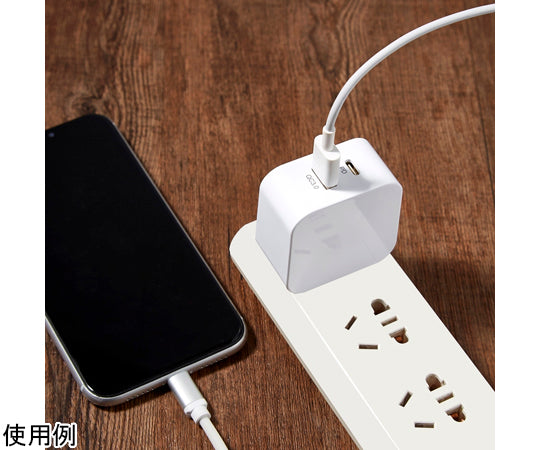 1 x PD/QC3.0 compatible USB charging adapter BS-JAC2003-1