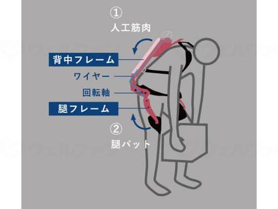 イノフィスマッスルスーツ Everyタイトフィット M-L