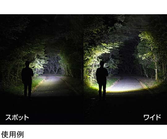 REXEEDシリーズ LEDフラッシュライト USB充電式 900ルーメン RX-386R 1個