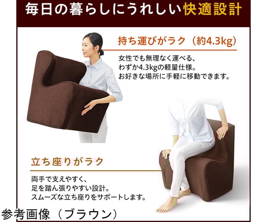 Style Dr.CHAIR Plus ブラウン BS-DP2244F-B 1個