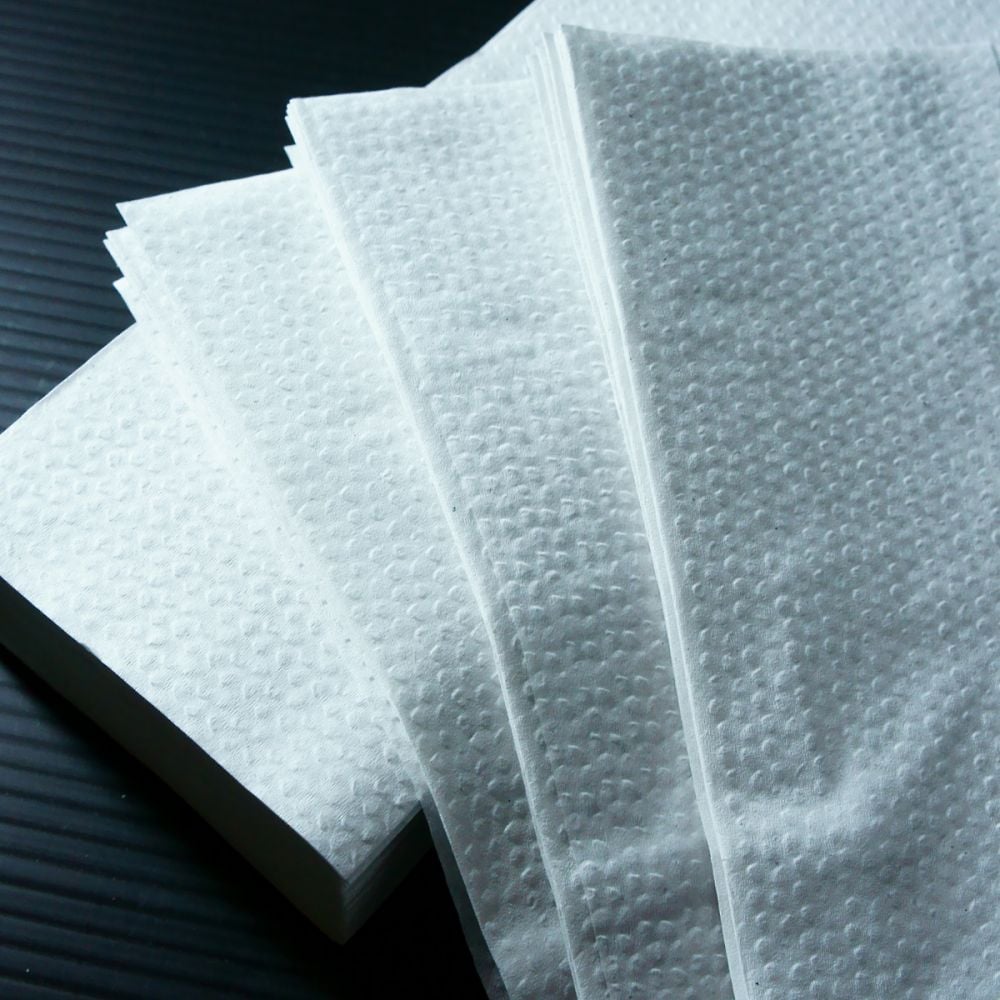 ペーパータオル ソフトタイプ 小判(エコノミーサイズ) 300枚入×48パック WS6400 1ケース(48パック入)