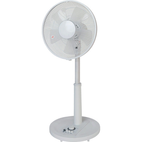 TEKNOS リビングメカ扇風機 ホワイト 30cm KI-1710(W) 1 台