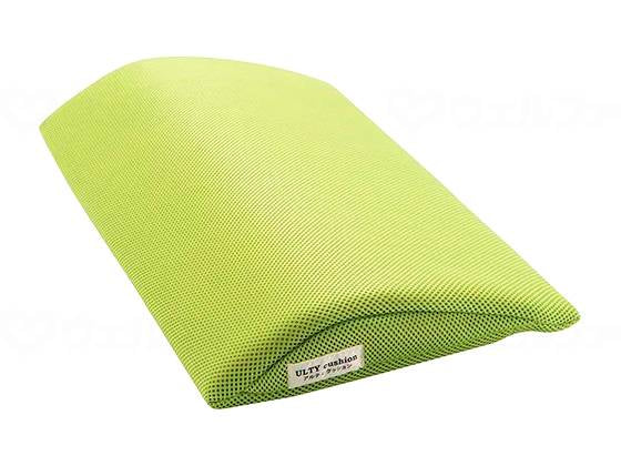 액션 재팬 아르타 사려 깊 쿠션 니 & 에스트