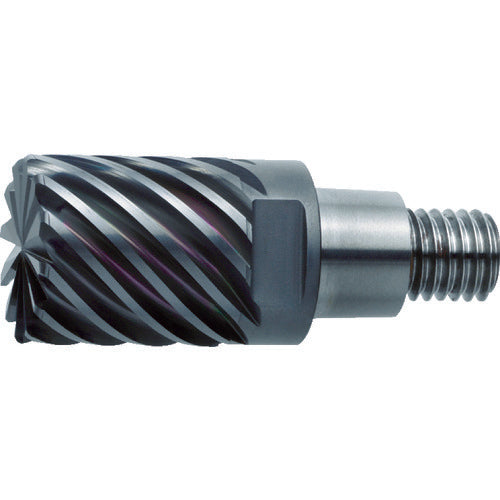 三菱 12枚刃難削材加工用 超硬多刃制振ラジアスヘッド20mm (コート品) EP7020 IMX20C12HV200R10021 1 個