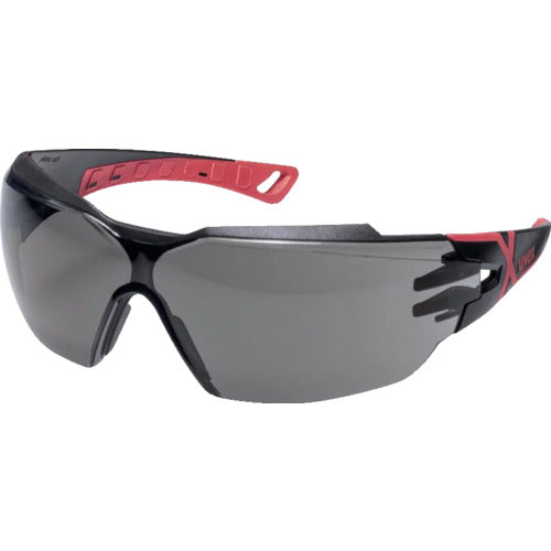 UVEX 赤外線遮断保護メガネ フィオス CX2 IRーex3 9198173 1 個