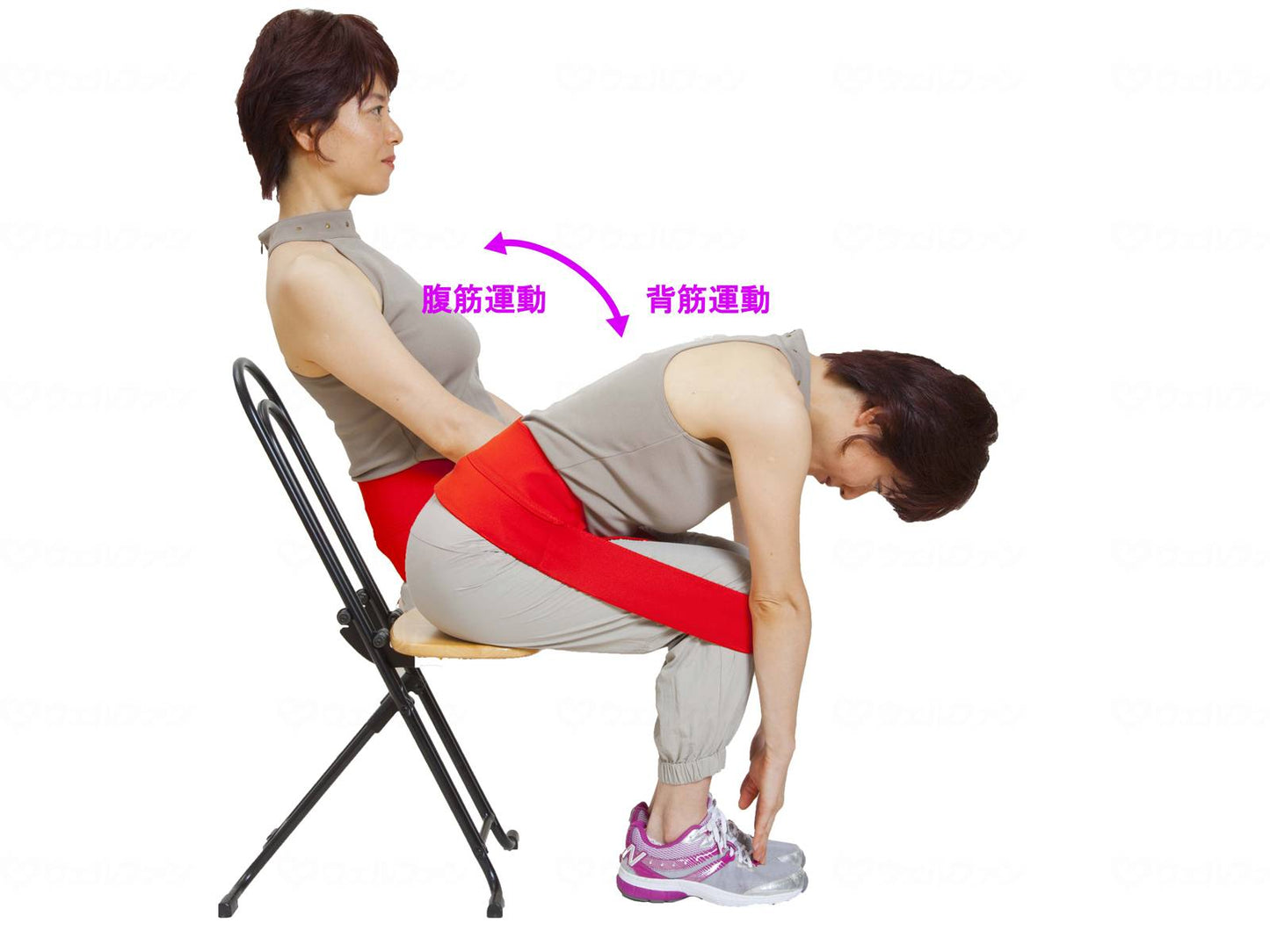 톱 통상장 허리 근육 릴렉스 벨트 라크 루르