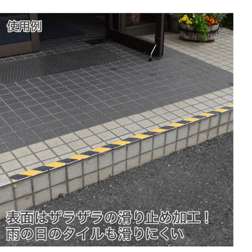 アストロプロダクツ AP ノンスリップテープ 10mトラ 2016000011395 1 個