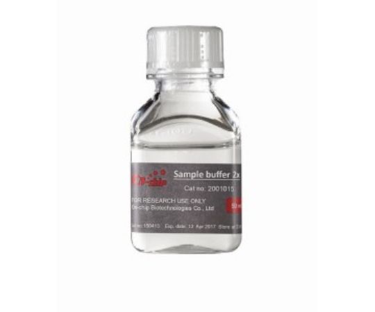 Sample Buffer 2x (PBS base) 50ml/책 2001015 1개(50mL입)