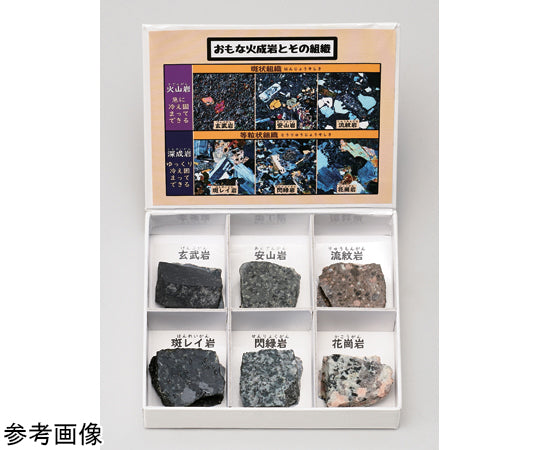 Mini Specimen Series Igneous Rock 6-piece Set (Polished) 1 Box
