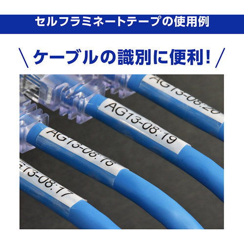 ブラザー 【期間限定キャンペーン12月末まで】ラミネートラベルプリンター”PTP900W” Tzeテープ2本付(Tze−231+Tze−SL261) PT-P900W-CP2024-SET-B 1 台