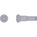 Mitsubishi Turning Holder Parts Clamp Screw SLCS106 1 piece