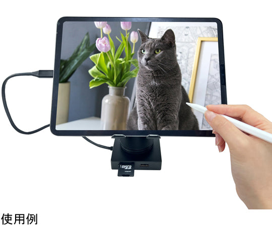 10in1 스탠드형 USB Type-C 도킹 스테이션 L-CH10-S 1개