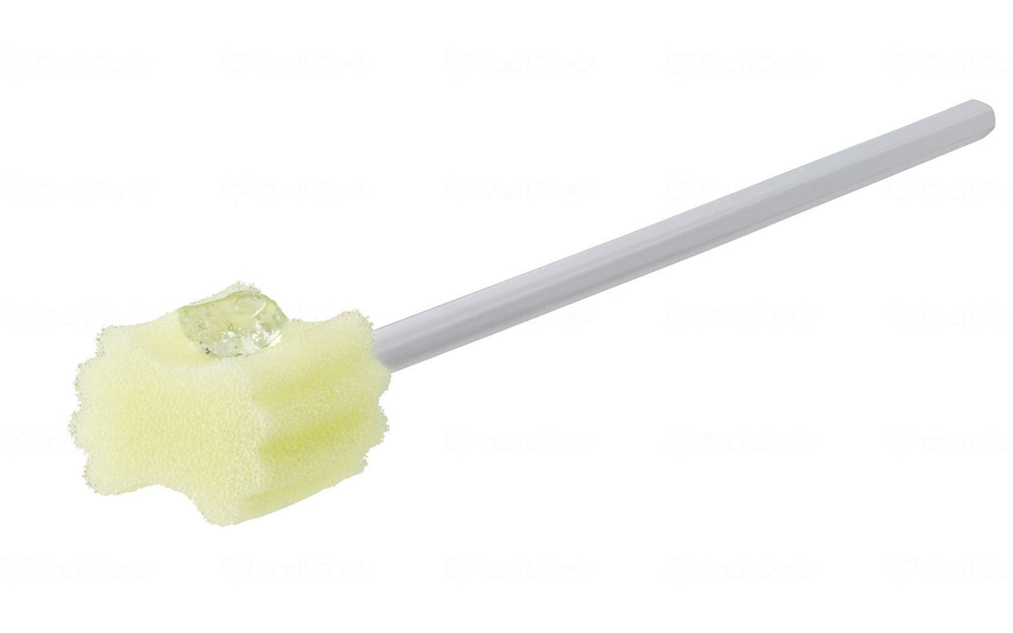 Pigeon Tahira Clean Smile Oral Care Sponge Brush Case 10 Pieces