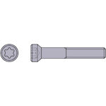 Mitsubishi TAW type parts clamp screw WS254015T 1 piece