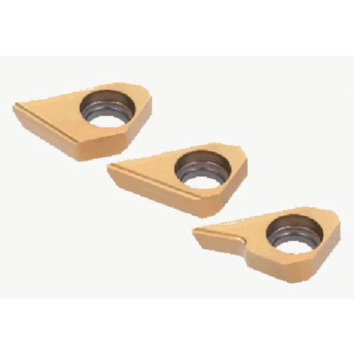 Tungaloy Drill Meister Chamfering Insert GH730 XHGT090300-30A 2 pieces