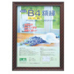 ナカバヤシ 樹脂製軽量額縁/<キンラック>/ハチニ KWP-17 1 枚