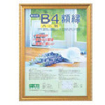 ナカバヤシ 樹脂製軽量額(キンケシ)パック/ハチニ KWP-37 1 枚