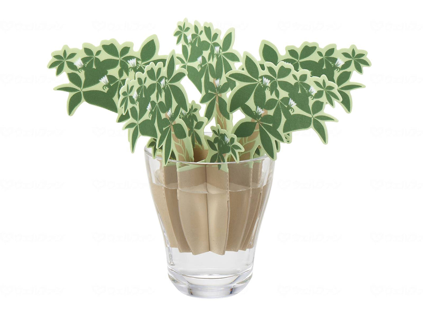 에르메나 어디에서나 모이스 파키라즈