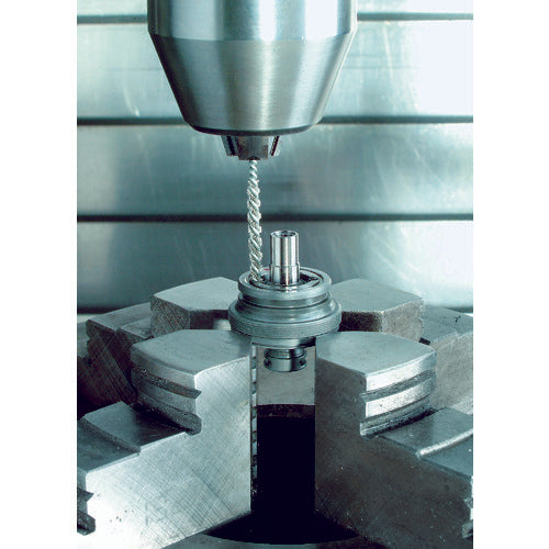 LESSMANN マイクロブラシ 砥粒入ナイロン #600 φ5.5 541079 1 本