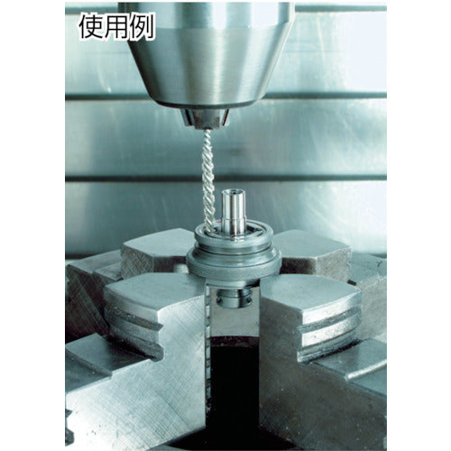 LESSMANN 마이크로 브러시 스테인리스 선 0.2mm φ25 56554250 1 개