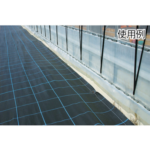 Wide Cloth Weed Control Sheet BG1515-1X100 Green BG1515-1X100 1 piece