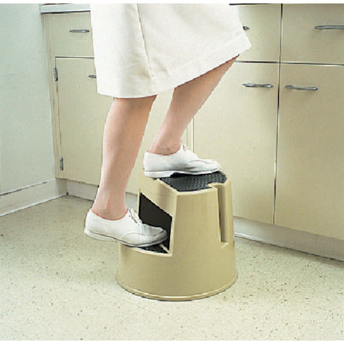 Erector Rubbermaid Step Stool 252307 1 unit