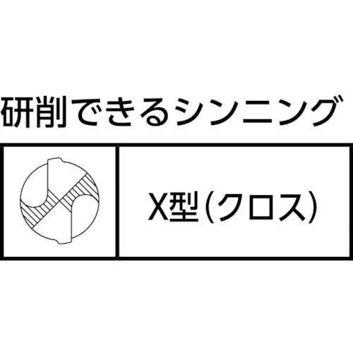 ニシガキ ドリル研磨機 ドリ研 X26 N-874 1 台