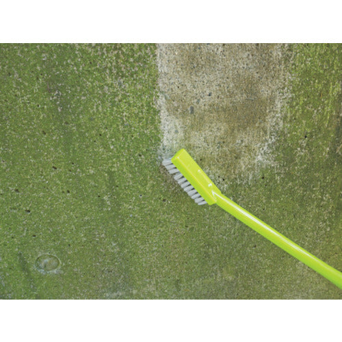 azuma ハンドブラシ BA726 コケ取りブラシナイロン 391881120 1 本