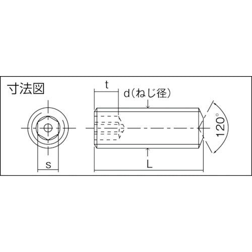 TRUSCO ピン付六角穴止めねじ 黒染 M6×10 12本入 B105-0610 1 PK