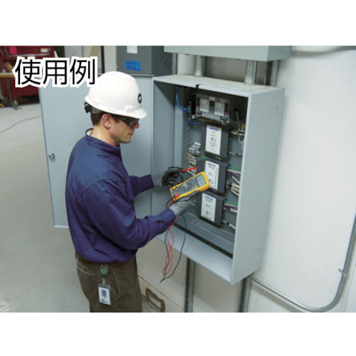 FLUKE 디지털 멀티미터(참 실효치) 175 1대