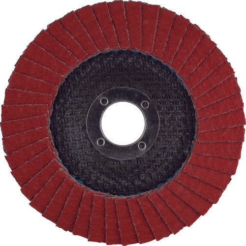 TYROLIT 【売切廃番】 フラップディスク アルミ向け 125mm #60 707160 10 枚