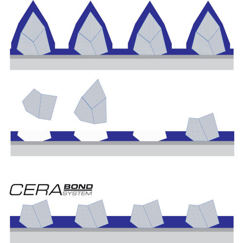 TYROLIT セラミックフラップディスク セラボンド 125mm #40 719799 10 枚