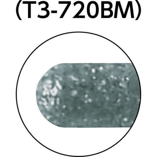 TRUSCO CBN 인터널 바 원통 끝 원 Φ2.0X 날 길이 12X축 3mm T3-720BM 1개
