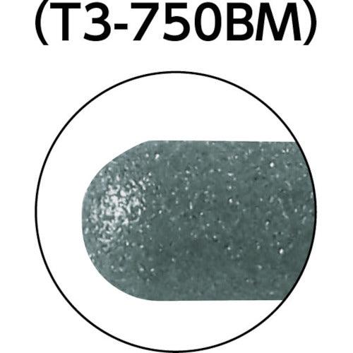 TRUSCO CBN 인터널 바 원통 끝 원 Φ5.0X 날 길이 10X축 3mm T3-750BM 1개