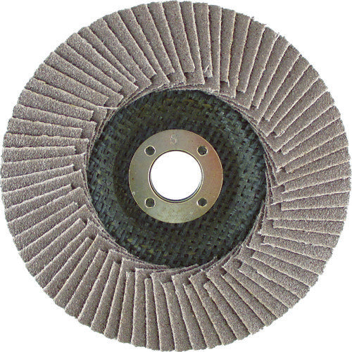 HiKOKI 테이퍼식 다날개 목공 샌더 100X15mm A100 0032-1800 1장