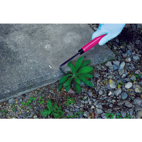 도우칸 초삭 콩콘 낫 핑크 장 무늬 DK695 1 쵸