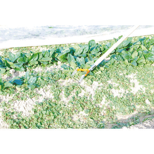 Doukan Grass Shaver Kezutaro Square Blade Corner DK817 1 Piece