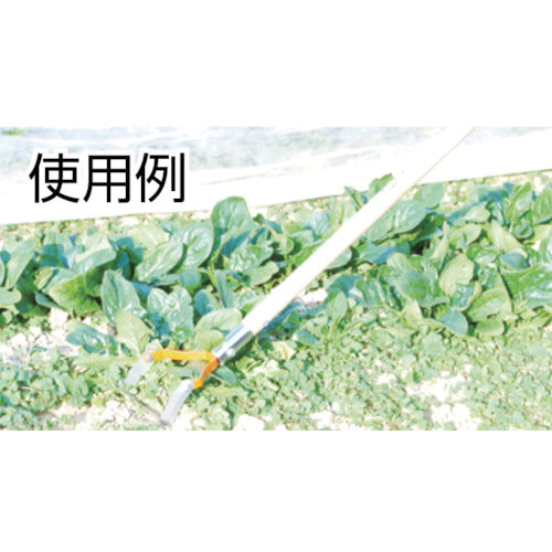 Doukan Kezutaro Square Blade Corner Replacement Blade DK817K 1 piece