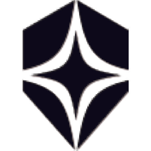 Bolle Twin Eye Protective Glasses (Fit Type) Rush Plus Smoke Lens 1662302A 1 pc