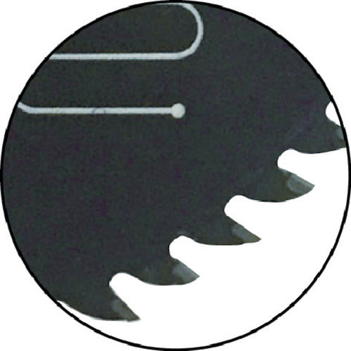 チップソージャパン ドイツファインマックススライド丸鋸用216×100P TM216-100F 1 枚